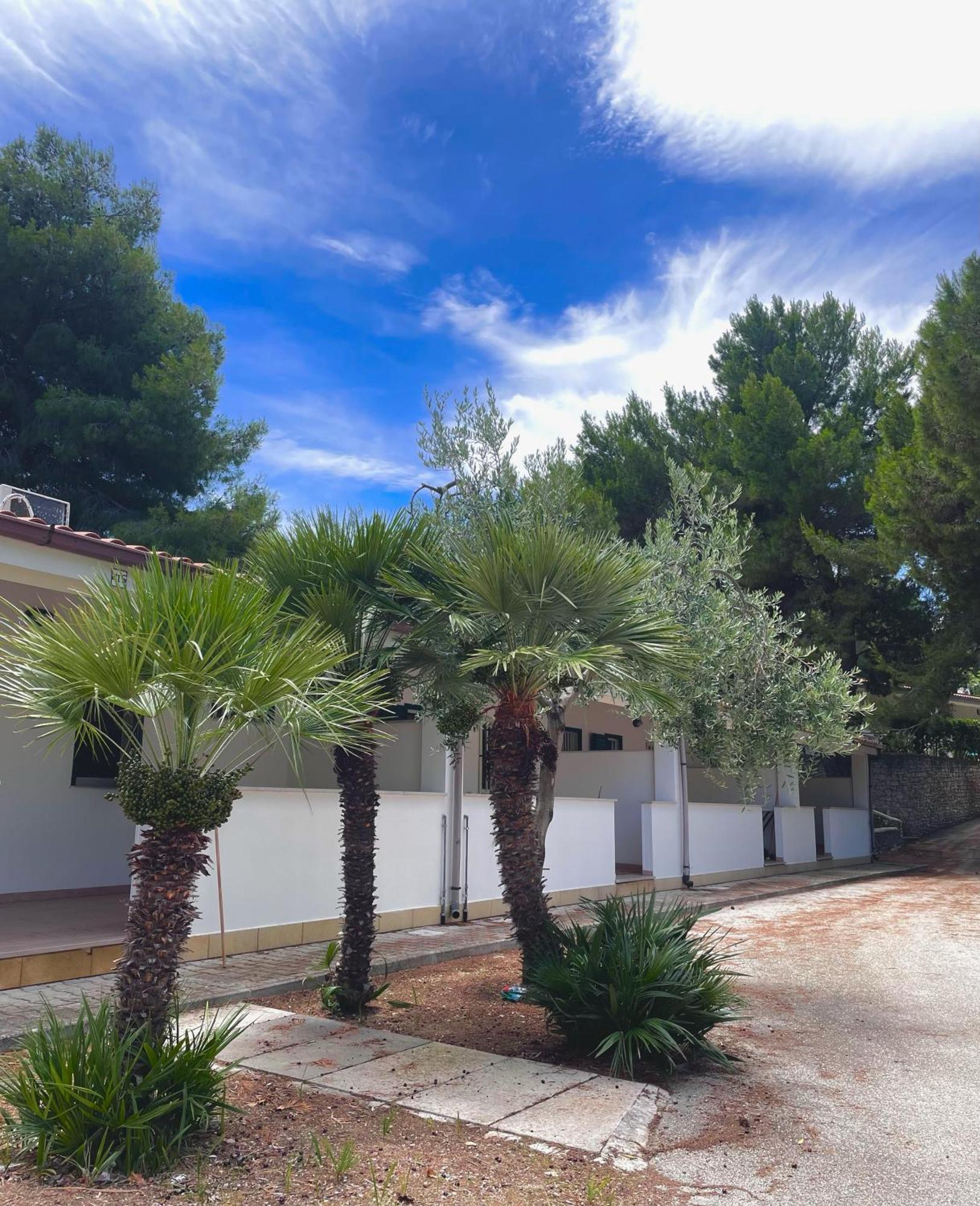 Villaggio La Giara Vieste Exterior photo